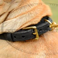 Shar-Pei Collar UK Two-Ply Leather with Elegant Braid for Walks