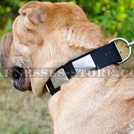 Shar-Pei Collar of Nylon with Large Nickel Plates for Daily Use