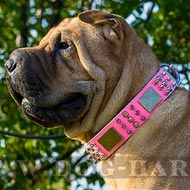 Shar-Pei Dog Collar Pink Leather with Spikes, Cones and Plates Shar-Pei Dog Collar Pink Leather with Spikes, Cones and Plates