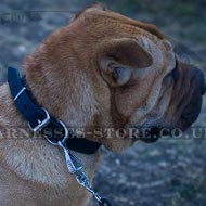 Shar-Pei Dog Collar of Narrow Leather, Classic Design