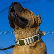 Shar-Pei Dog Collar White Leather with Spikes, Cones and Plates Shar-Pei Dog Collar White Leather with Spikes, Cones and Plates