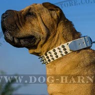Shar-Pei Dog Collar of White Leather with Cones and Spikes Shar-Pei Dog Collar of White Leather with Cones and Spikes