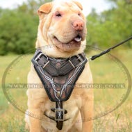 Shar-Pei Harness Leather with Barbed Wire Hand Painting