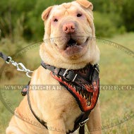 Shar Pei Harness with Hand Painted Flames, Genuine Leather