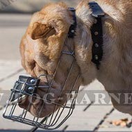 Shar-Pei Muzzle of Wire Cage for Daily Walking and Training