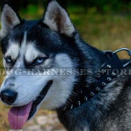 Siberian Husky Dog Collar of Nylon with Two Rows of Shiny Spikes