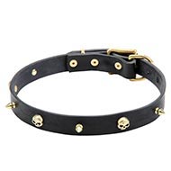 Skull Dog Collar UK Narrow Leather, Brass Spikes, Pirate Style