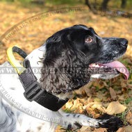 Spaniel Dog Collar of Nylon with Handle and Quick-Release Buckle