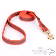 Strong Nylon Dog Lead Orange with Slip-Resistant Rubber Lines