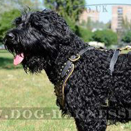 Black Russian Terrier Royal Leather Harness with Studded Chest