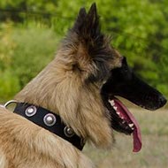 Tervuren Collar of Nylon with Silver-Like Conchos for Everyday