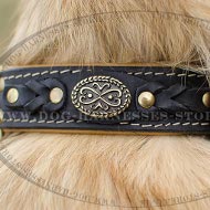 Tervuren Collar of Royal Design, Leather with Nappa Padding