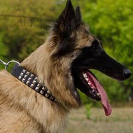 Tervuren Collar with Nickel Pyramids in 3 Rows, Leather