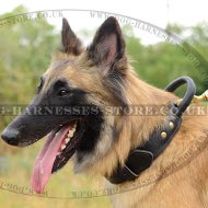 Tervuren Collar of Double-Ply Leather with Handle for Training