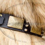 Tervuren Collar of Antique Design, Leather with Plates & Spikes