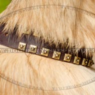 Tervuren Collar of Leather with Brass Studs, Caterpillar Design