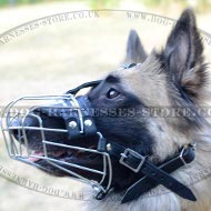 Tervuren Muzzle, Wire Cage Design, Maximum Airflow and Comfort