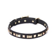 Thin Lightweight Dog Collar of Leather "Golden Elegance" Artisan
