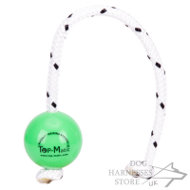 Top-Matic Fun Ball Mini for Small Breeds and Young Dogs