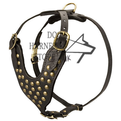 Studded Walking Dog Leather Harness, UK Bestseller in Design! - Click Image to Close