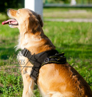 SAR Dog Harness